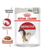 Royal Canin Instinctive Gravy вологий корм для котів від 12 міс. 85 г х 12 шт | 6611898 | фото 2