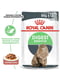 Royal Canin Digest Sensitive Gravy влажный корм для кошек для ЖКТ 85 г х 12 шт | 6611900 | фото 2