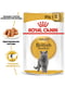 Royal Canin British Shorthair вологий корм для кішок породи британська 85г х 12шт | 6611902 | фото 2