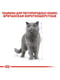 Royal Canin British Shorthair вологий корм для кішок породи британська 85г х 12шт | 6611902 | фото 5