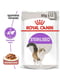 Royal Canin Sterilised Gravy влажный корм для стерилизованных кошек 85 г х 12 шт | 6611909 | фото 2