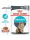 Royal Canin Urinary Care Gravy вологий корм для котів для сечової системи 85 г х 12шт | 6611912 | фото 2