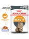 Royal Canin Intense Beauty Jelly влажный корм для кошек для кожи и шерсти 85г х 12шт | 6611913 | фото 2