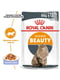 Royal Canin Intense Beauty Jelly вологий корм для котів для шкіри та вовни 85г х 12шт | 6611913 | фото 2