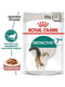 Royal Canin Instinctive 7+ Gravy влажный корм для кошек от 7 лет 85 г х 12 шт | 6611914 | фото 2