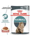 Royal Canin Hairball Care Gravy влажный корм для кошек при комочках в желудке 85 г х 12шт | 6611916 | фото 2