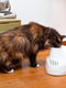 Поилка фонтан с фильтром для мелких собак и кошек Ferplast Vega | 6612282 | фото 6