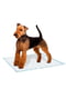 Пелюшки для собак з клейкими краями Ferplast Genico 50, 60 xh 60 cm - GENICO BASIC | 6612632 | фото 3