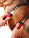 Скребница для собак с короткой шерстью Ferplast GRO 5954 | 6612641 | фото 2