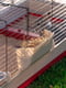 Клетка для кроликов и грызунов с аксессуарами Ferplast Krolik 140 | 6612666 | фото 7