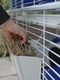 Клітина для кроликів та гризунів з аксесуарами та наклейками Ferplast Barn 100 | 6612669 | фото 6