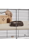 Скляна клітина для хом'яків, мишей та гризунів Ferplast Karat 98,5 x 50,5 xh 61,5 cm - KARAT 100 | 6612674 | фото 6