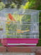 Клетка для канареек, попугаев и маленьких птиц Ferplast Giusy Розовый | 6612689 | фото 3