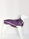 Водонепроницаемая куртка для собак BlackDoggy VC-JK12013 M, Фиолетовый | 6612759 | фото 2