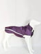 Водонепроницаемая куртка для собак BlackDoggy VC-JK12013 L, Фиолетовый | 6612765 | фото 2