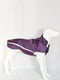 Водонепроницаемая куртка для собак BlackDoggy VC-JK12013 XXL, Фиолетовый | 6612771 | фото 2