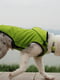 Плащ дождевик для собак BlackDoggy (БлекДогги) VC14-JK007 L, Зелёный | 6612779 | фото 6