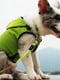 Плащ дождевик для собак BlackDoggy (БлекДогги) VC14-JK007 XL, Зелёный | 6612781 | фото 7