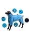 Комбінезон дощовик водонепроникний для собак BlackDoggy VC19-JK009 M/L, Синій | 6612788 | фото 2