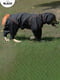 Комбінезон дощовик водонепроникний для собак BlackDoggy VC19-JK009 M/L, Чорний | 6612789 | фото 4