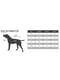 Комбінезон дощовик водонепроникний для собак BlackDoggy VC19-JK009 M/L, Чорний | 6612789 | фото 5
