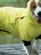 Комбінезон дощовик водонепроникний для собак BlackDoggy VC19-JK009 XXL, Жовтий | 6612796 | фото 5