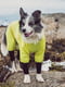 Комбінезон дощовик водонепроникний для собак BlackDoggy VC19-JK009 XXL, Жовтий | 6612796 | фото 6