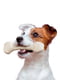 Жувальна кісточка для собак із ароматом курки Ferplast GoodBite Natural Chicken S - 40 гр. х 2 шт. - 11 x 3,6 xh 1,7 cm | 6612813 | фото 3