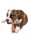 Жевательная косточка для собак с ароматом говядины Ferplast GoodBite Natural Beef S - 40 гр. х 2 шт. - 11 x 3,6 x h 1,7 cm | 6612825 | фото 3