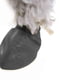 Гумові шкарпетки - взуття для собак PAWZ TINY, Чорний | 6612875 | фото 4