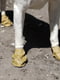 Гумові шкарпетки - взуття для собак PAWZ TINY, Камуфляж | 6612876 | фото 4
