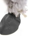 Гумові шкарпетки - взуття для собак PAWZ Чорний | 6612954 | фото 2