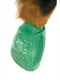 Резиновые носки - обувь для собак PAWZ | 6612968 | фото 2