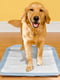 Simple Solution Training Pad Holder піддон для пелюшок для привчання собак до туалету | 6613048 | фото 6