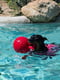 Jolly Pets TUG-N-TOSS іграшка гиря для собак Великий - 22х30х22 см, Зелений | 6613053 | фото 2