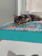 Jolly Pets Kitty Kasa Penthaus Bed ліжко - лежак для котів Бірюзовий | 6613075 | фото 4