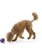 Игрушка для собак мяч с тайником для лакомств West Paw Rumbl Large Eggplant | 6613079 | фото 2