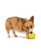 Игрушка головоломка для собак с тайником для лакомств West Paw Toppl Treat Toy Large | 6613080 | фото 2