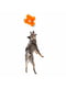 Іграшка харчалка для собак пухнастий Фергус West Paw Fergus Сіро-коричневий | 6613082 | фото 4