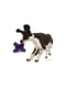 Игрушка пищалка для собак плюшевый Линкольн West Paw Lincoln | 6613087 | фото 3
