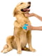 Масажна щітка для догляду за шерстю собак Dexas StressBuster | 6613136 | фото 3