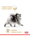 Royal Canin Pomeranian Adult корм для дорослих собак Померанський шпіц з птахом | 6613149 | фото 2