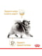 Royal Canin Pomeranian Loaf вологий корм паштет для померанських шпіців 85г х 12шт | 6613154 | фото 2