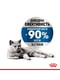 Royal Canin Light Weight Care Jelly корм в желе для снижения веса у котов 85 г х 12 шт | 6613161 | фото 4