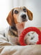 Жувальна іграшка для собак із кристалами бікарбонату Ferplast Smile Ø 12 x 2,4 cm - S, Червоний | 6613511 | фото 5