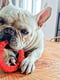 Жувальна іграшка для собак із кристалами бікарбонату Ferplast Smile Ø 12 x 2,4 cm - S, Червоний | 6613511 | фото 6