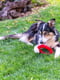 Жувальна іграшка для собак із кристалами бікарбонату Ferplast Smile Ø 16 x 3,2 cm - M, Чорний | 6613514 | фото 6