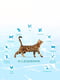 OptiMeal Beauty Podium Shiny Coat Dental Care сухой корм для котов для блестящей шерсти | 6613707 | фото 4