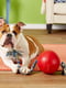 Jolly Pets ROMP-N-ROLL игрушка мяч с веревкой для собак Большой - D-22 см; H-45 см , Зеленый | 6613941 | фото 3