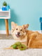 Jolly Pets TUG-A-MAL Turtle Dog мягкая игрушка для собак для перетягивания Черепаха с пищалкой | 6613959 | фото 4